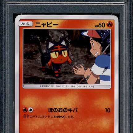 Litten - 059/SM-P - PSA 9 - Pokemon Center - Promo - Pokemon - 625